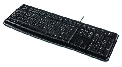 Клавиатура Logitech K120 (920-002522)